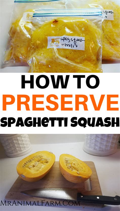 Can You Freeze Spaghetti Squash A Food Preservation Guide Spaghetti