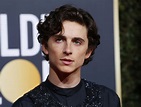 Timothee Chalamet baffles Golden Globes viewers with outfit featuring ...