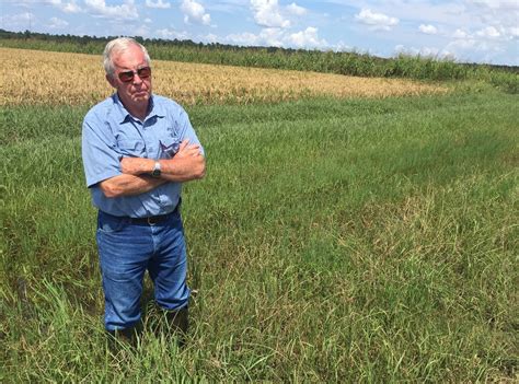 Texas Farmers Suffer Extensive Crop Losses In Wake Of Harvey The Salt Npr