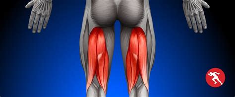 How Sports Physiotherapy Can Help You Recover From Hamstring Injuries