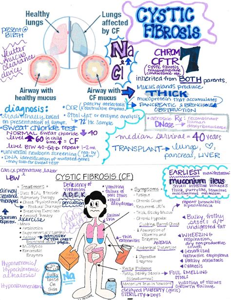 Types Of Fibrosis And How To Use Them Poster For Nursing Students