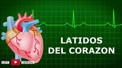 Latidos Del Corazón Efecto De Sonido Youtube