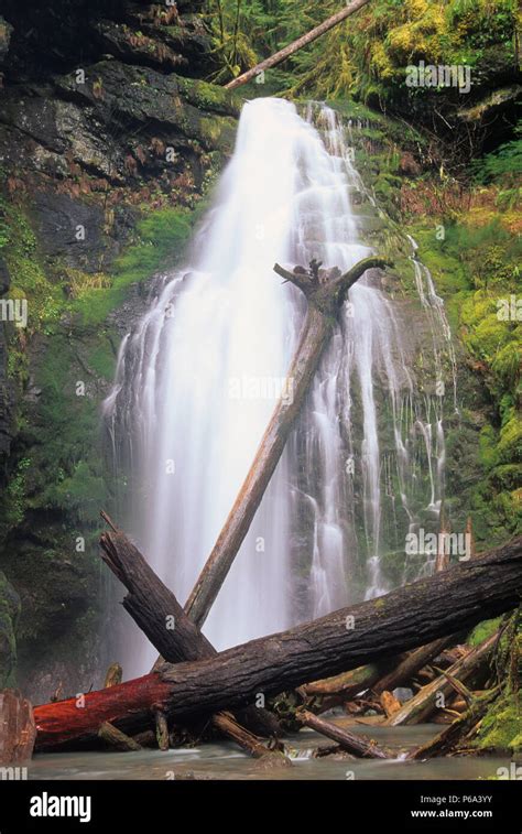 Trestle Falls Umpqua National Forest Oregon Stock Photo Alamy