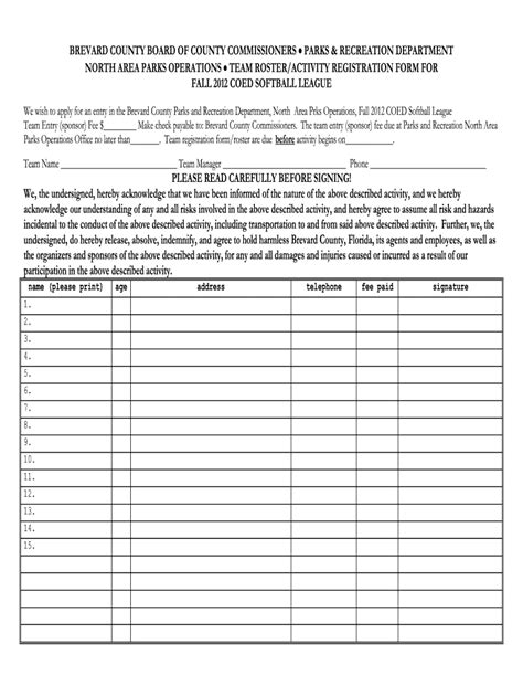 Softball Roster Form 2020 2022 Fill And Sign Printable Template
