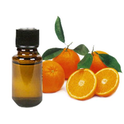 Download Orange Oil Png Image With No Background