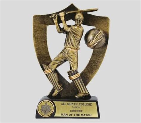 Golden Brass Man Of The Match Cricket Trophy At Rs 120piece In New