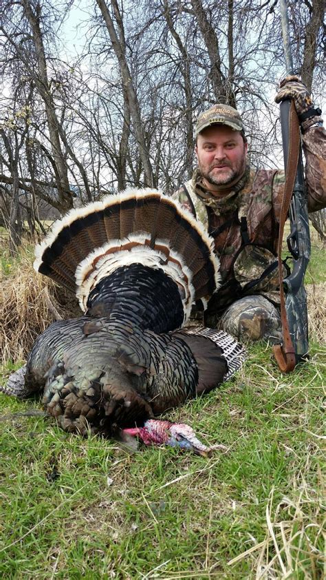 Outdoor Adventures Worldwide Wyoming Merriams Wild Turkey