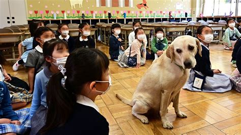 Puppy In The Classroom Lessons In Life With School Dog Crea