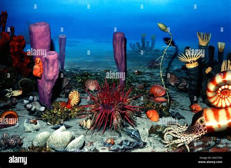 Permian Reef Vista Late Paleozoic Era Stock Photo 15487588 Alamy