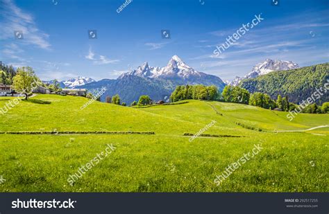 Idyllic Landscape Alps Fresh Green Meadows Stock Photo 292517255