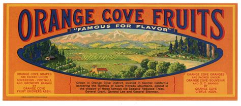 Orange Cove Fruits Brand Vintage Fruit Crate Label Thelabelman