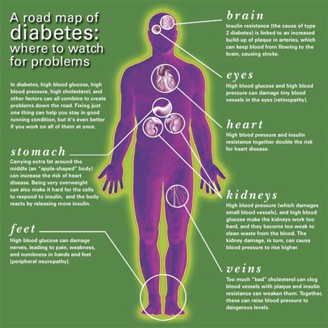 Cholesterol And The Complications Of Living With Type Diabetes Your Med Guide