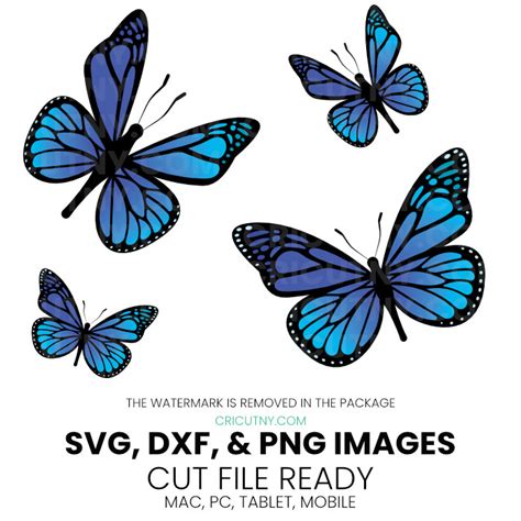 Butterfly svg cut files - Cricut font, svg file for cricut & Tutorials