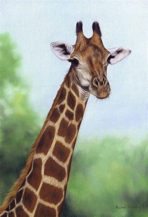 Giraffe Painting Painting By Rachel Stribbling Fine Art America