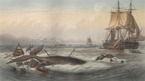 The History Of Whaling In America American Experience Official Site