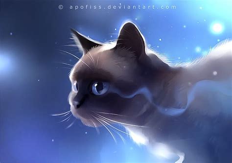On Deviantart Cute Cats And Kittens