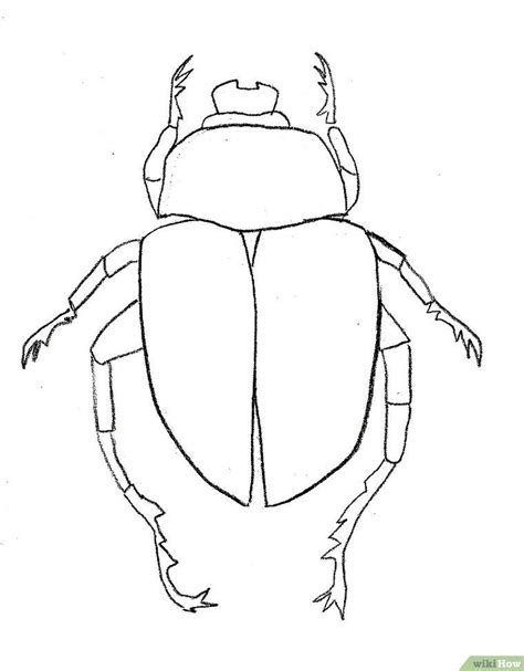 How To Draw A Scarab Beetle 9 Steps With Pictures Beetle Art