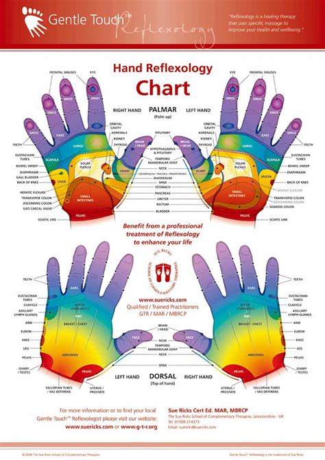 Right Hand Reflexology Chart