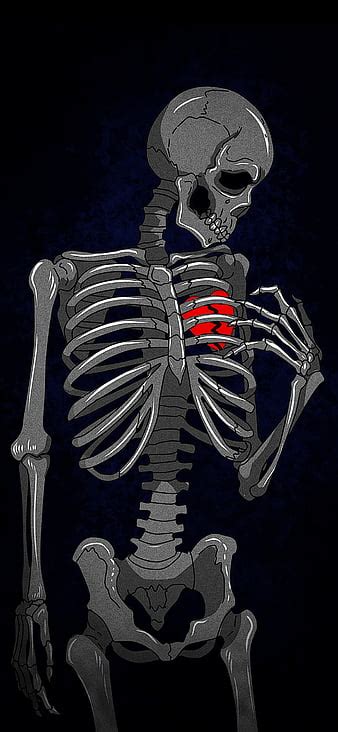 Human Skeleton Wallpaper