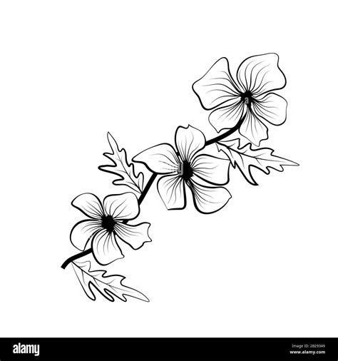 Black Outlines Of Flowers Flower Icon Vector Outline Illustration