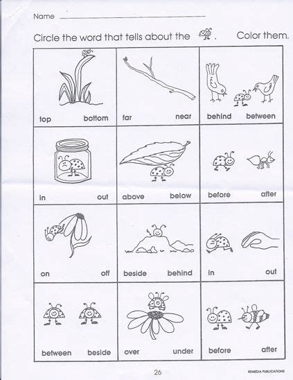 Worksheet For Positional Words Kindergarten