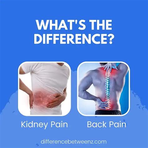 Difference Between Kidney Pain And Back Pain Difference Betweenz