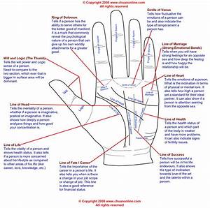 Free Palmistry Diagram For Download Palm Reading Chuanonline Com