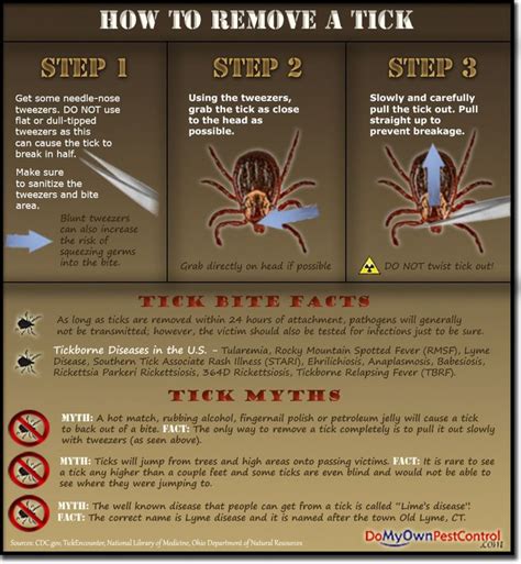 How To Remove A Tick Infographic Ticks Tick Removal Tick Repellent