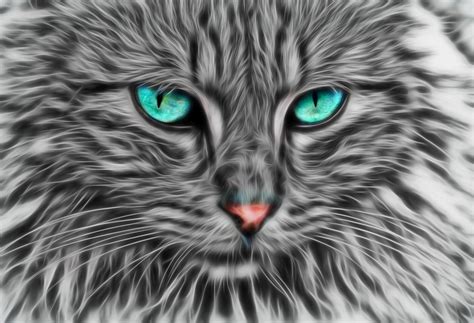 Fractal Cat Art Free Image On Pixabay