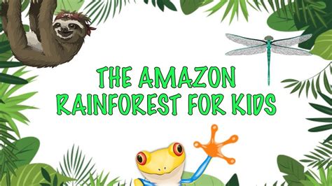 Rainforest Animals Ks1 Video Rainforest Animal