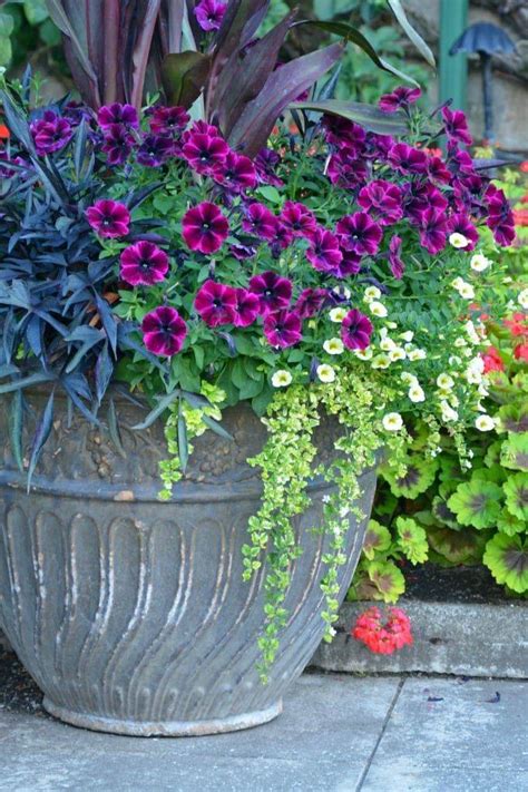 25 Flower Container Patio Garden Ideas You Should Check Sharonsable