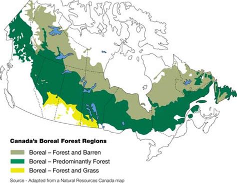 Resolute Forest Products Boreal Forest