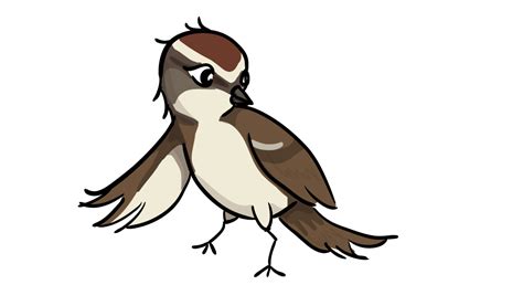 Sparrow Clipart 20 Free Cliparts Download Images On Clipground 2023