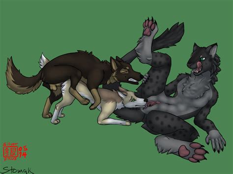Rule 34 All Fours Anthro Anthro On Feral Balls Canine Chakat