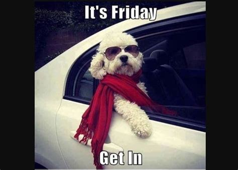 A happy friday says it all, the start for a wonderful weekend. 90 Friday Memes That Will Supplement Your Friday Feels