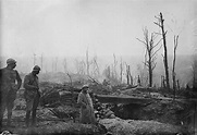 Bataille de Verdun — Wikipédia