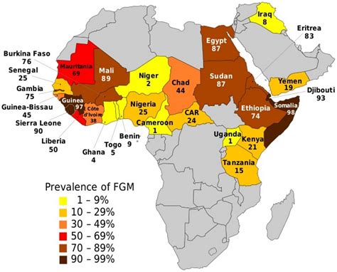 Dia Internacional Contra La Mutilación Genital Femenina ¿qué Se Puede