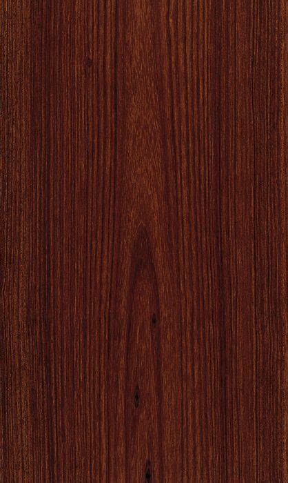 ✓ free for commercial use ✓ high quality images. louro preto | Wood texture, Veneers