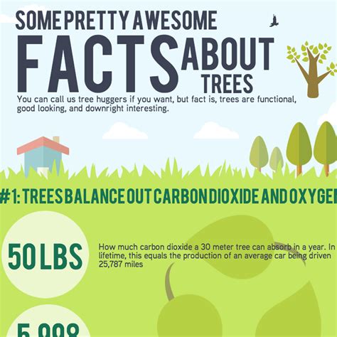 5 Pretty Awesome Facts About Trees Infographic