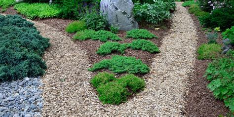 10 Drought Tolerant Ground Covers That Can Withstand The Sun