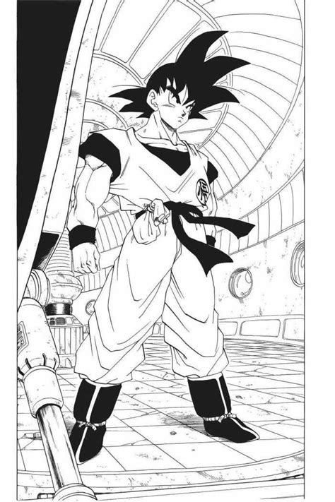 Son Goku Dbz Manga Comic Vs Anime Vs Cartoon Wiki Fandom