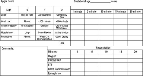 The Apgar Score From The American Academy Of Pediatrics