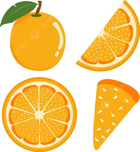 Orange Vector Illustrations Set Orange Slices Orange Clipart Orange Vector PNG And Vector