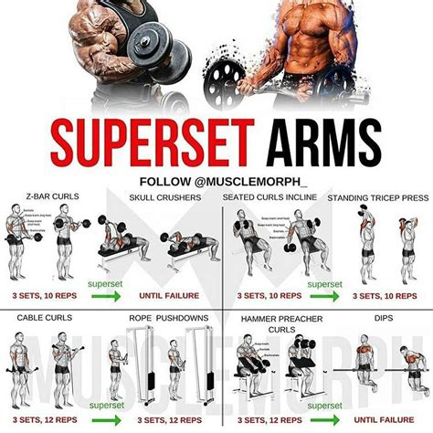 Pin By Toma Skrro On Fitness And Workout Bicep And Tricep Workout
