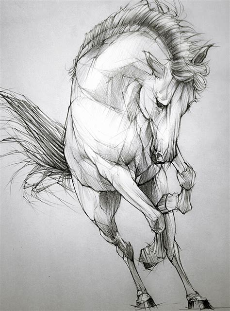 Artstation Pencil Drawing Toh Yasu藤保 037 藤保 Toh Yasu Horse Pencil