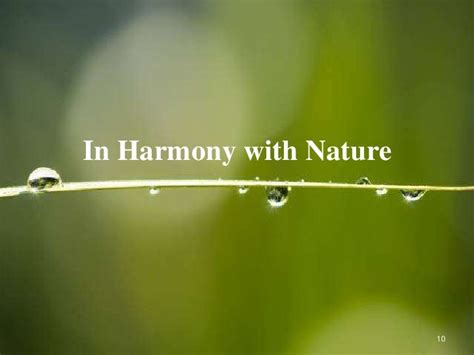Dharma In Harmony With Nature And Yog