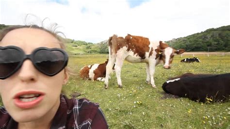 Cow Singing With Inquisitive And Gentle Cows Youtube