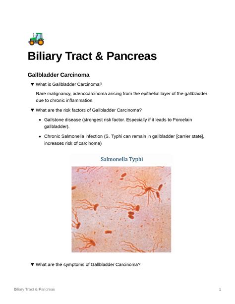 Solution Biliary Tract And Pancrease Studypool