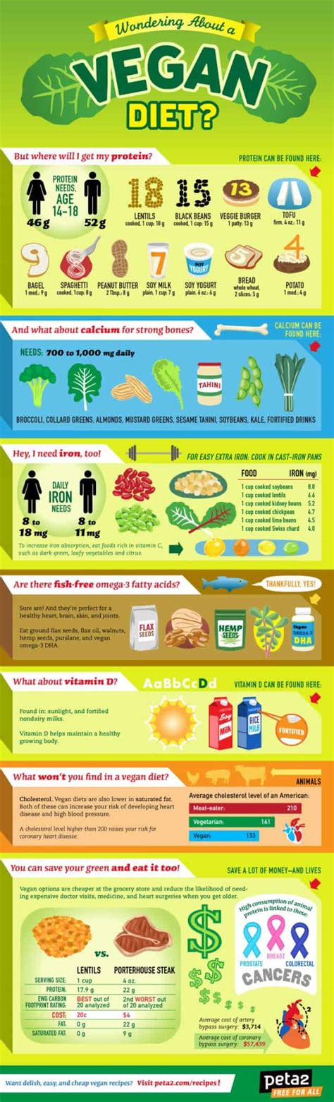 All You Need To Know About A Vegan Diet Daily Infographic