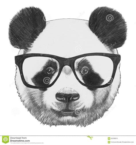 Original Drawing Of Panda With Glasses Stock Illustration